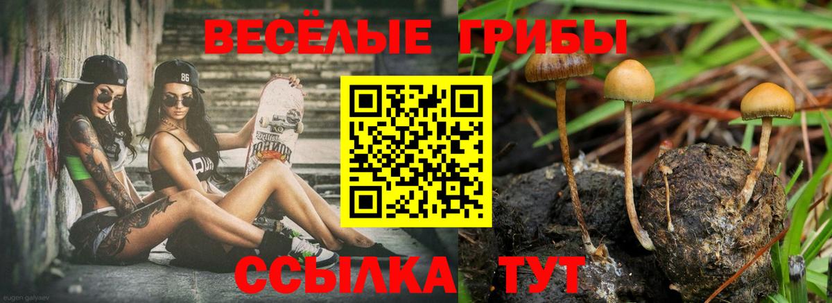 Псилоцибиновые грибы прущие грибы  Вход с VPN  цена наркотик  Ярославль 